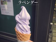 -富田农场