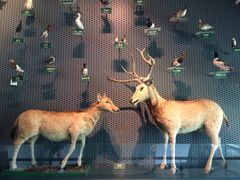-中国湿地博物馆