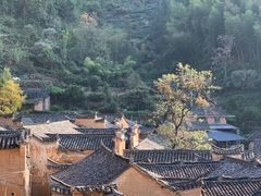 -杨家堂村