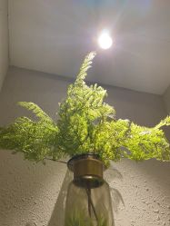 -香秀空间科技抗衰·美容中心