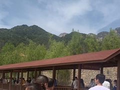 -王顺山国家森林公园