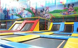 -爱丽丝奇幻乐园