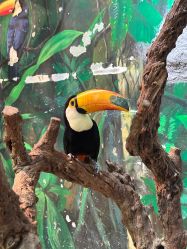 -Zoolung Zoolung动物主题公园(海信广场店)