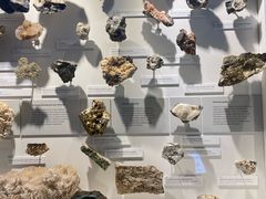 -墨尔本博物馆(Melbourne Museum)