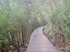 -上海佘山国家森林公园西佘山园