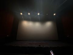 -深影国际影城(学院南路店CGS中国巨幕店)