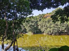 -番禺大夫山森林公园