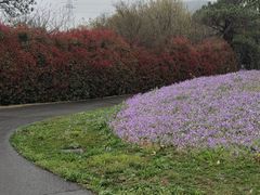 -南京汤山紫清湖生态旅游温泉度假区