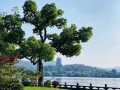 -杭州西湖柳莺里酒店·闻莺厅