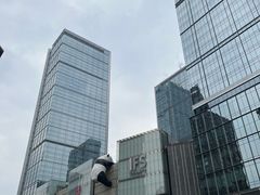 -成都凯宾斯基饭店