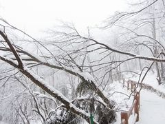 -九峰山