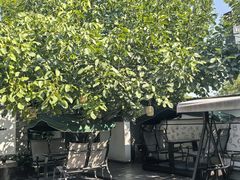 -慢丽江·云南野生菌土鸡锅(西山店)