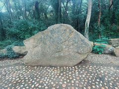 -上海佘山国家森林公园天马山园