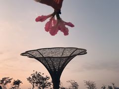 -白石龙音乐公园