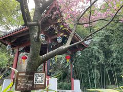 -乌山风景区