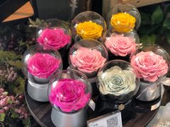 景观位-1Cake壹刻蛋糕(奥体公园味觉艺术馆店)