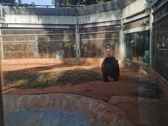 -昆明动物园
