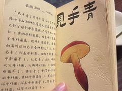 -滇野云南野生菌餐厅(陕西南路店)