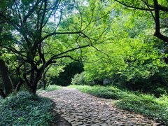 -北寺塔
