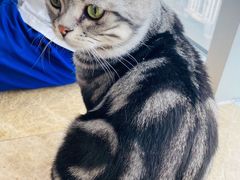 -Catmate·猫肥家润(金润铂宫店)