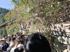 -黄花溪