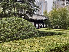 -团结湖公园