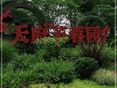 -天府芙蓉园