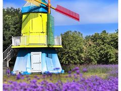 -北京国际鲜花港