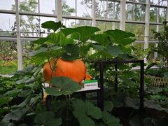 -中国天府农业博览园