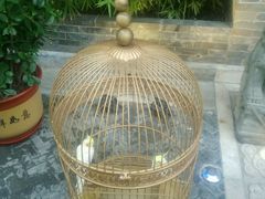 鹦鹉-那家小馆•北京菜•烤鸭(中关村店)