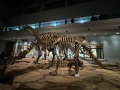 -自贡恐龙博物馆