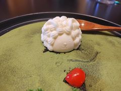 -蒙料·手把肉(望京店)