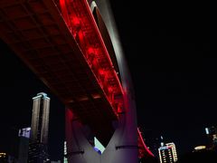 -重庆两江夜游-交运系列
