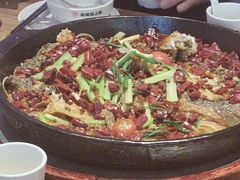 -老板恋上鱼(恒隆广场店)