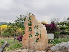 -天适樱花悠乐园