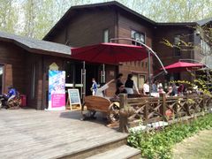 -合肥滨湖国家森林公园