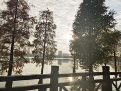 -海珠湖公园