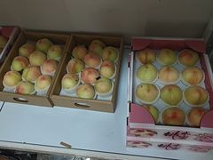 -南汇新场正宗水蜜桃采摘