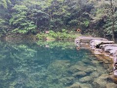 -白云源风景区