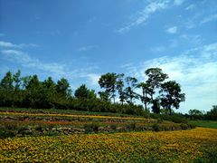 -白鹭湾湿地公园