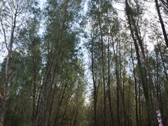 -西涌国际滨海旅游区