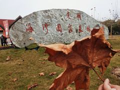 -上海海湾国家森林公园