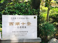 -西湖外事游船(花港观鱼码头)