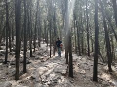 -云龙山
