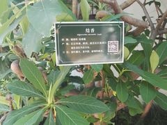 -南京航空航天大学(将军路校区)
