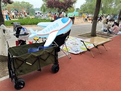 -大兴滨河森林公园