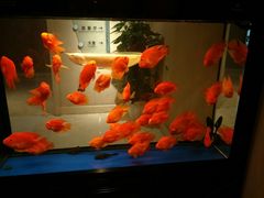 -上海中兴和泰酒店(张江高科地铁站店)