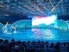 -海合安青岛极地海洋公园