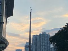 -东莞植物园