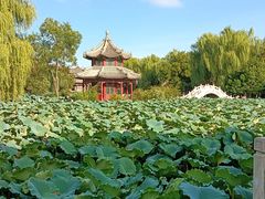 -莲池书院博物馆